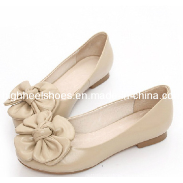 New Design Flat Ladies Shoes (Hcy02-880)